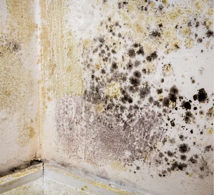Can I remove mould myself