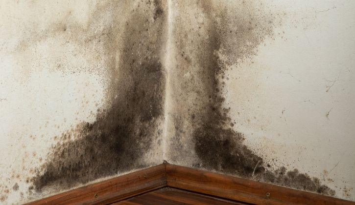 Contact North West Clean Team today (2)