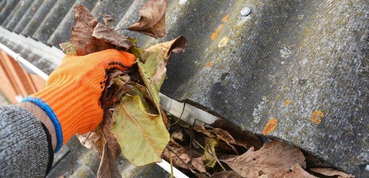 DIY vs. Professional Gutter Cleaning