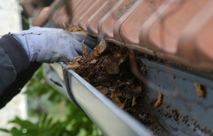 Free Flowing Gutters The Importance of Regular Maintenance