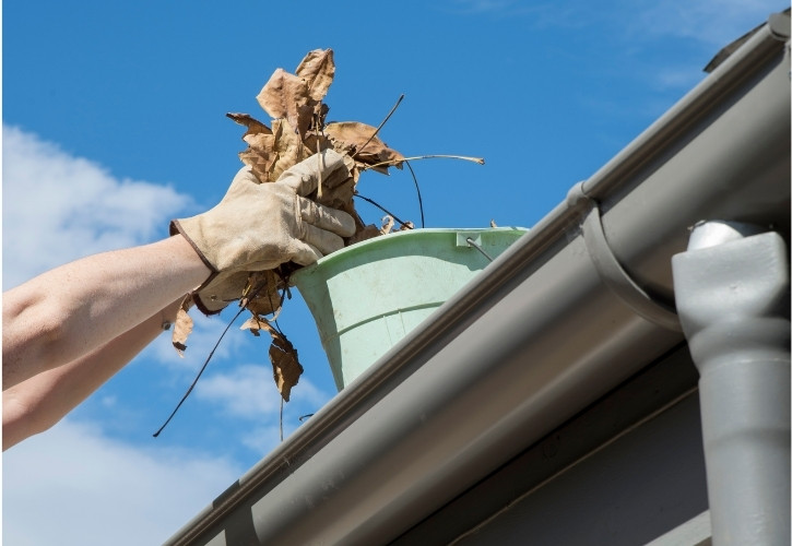 Gutter Cleaning Costs