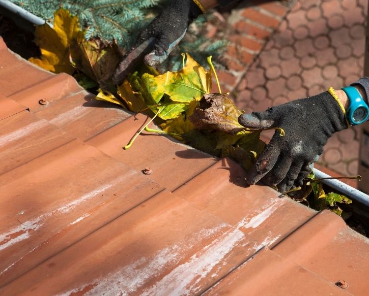 Gutter Cleaning FAQs