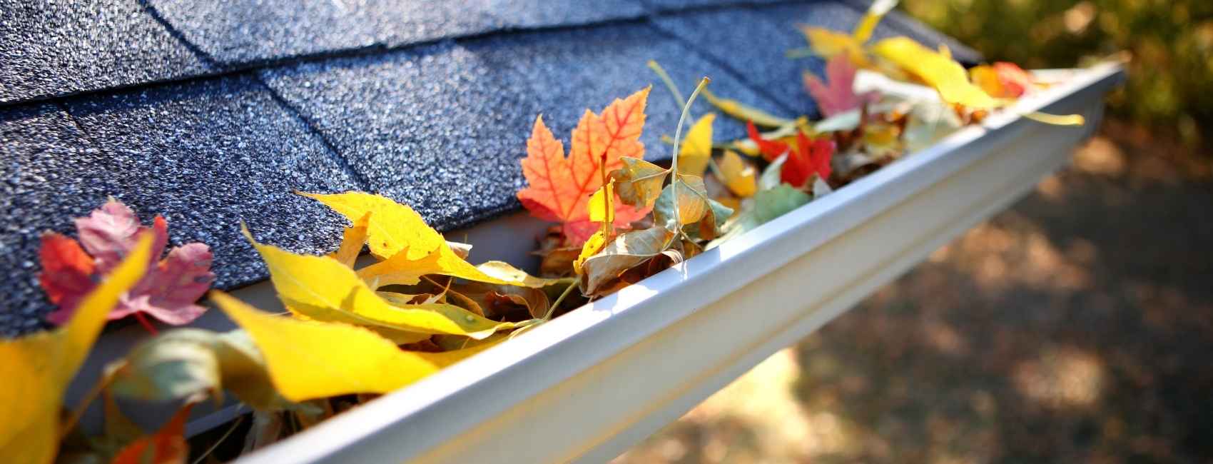 Gutter Cleaning Service | Gutter & Fascia Cleaning Services