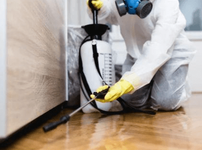 Pest Control