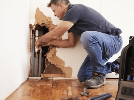 Restoration and Repairs