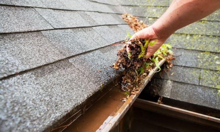 Signs Your Gutters Need Cleaning (2)