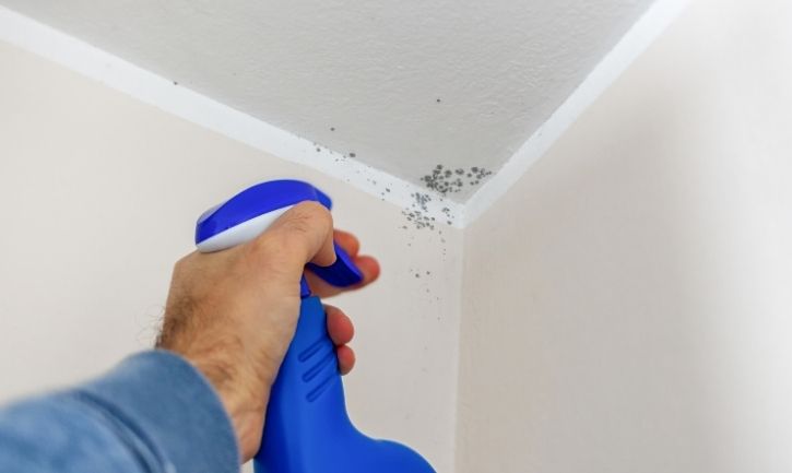 Signs of mould growth