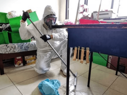 The Cost of Death Cleaning Services