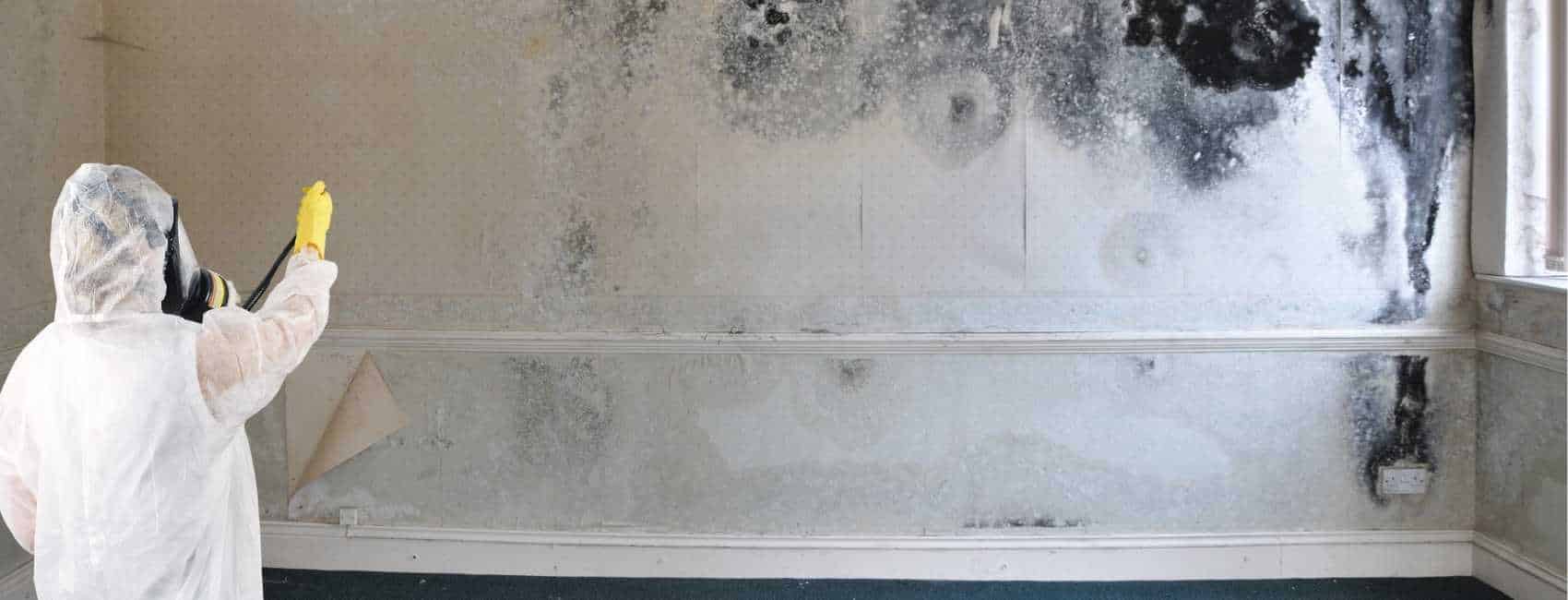 Black Mould Removal in Delph