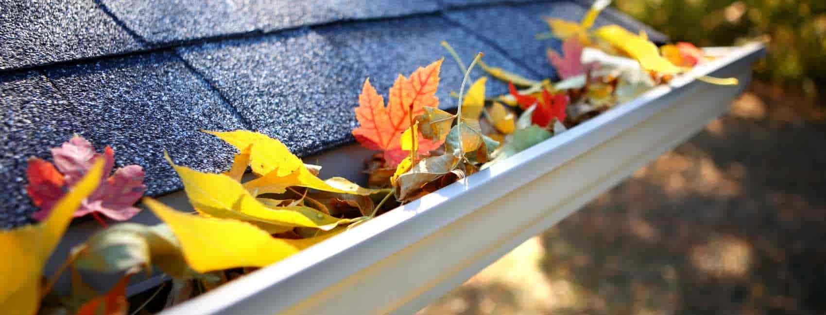 Gutter Cleaning in Urmston